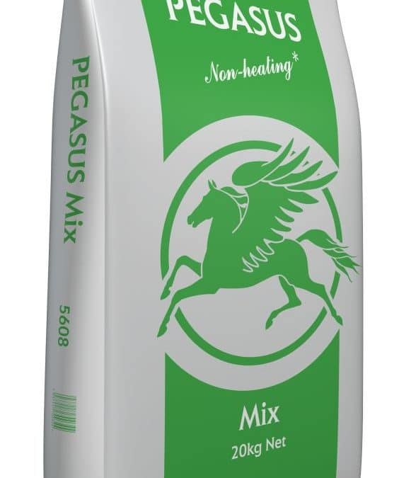 Spillers Pegasus Value Mix 20kg