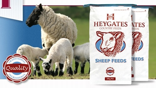 Heygates Ewe Nuts 20kg