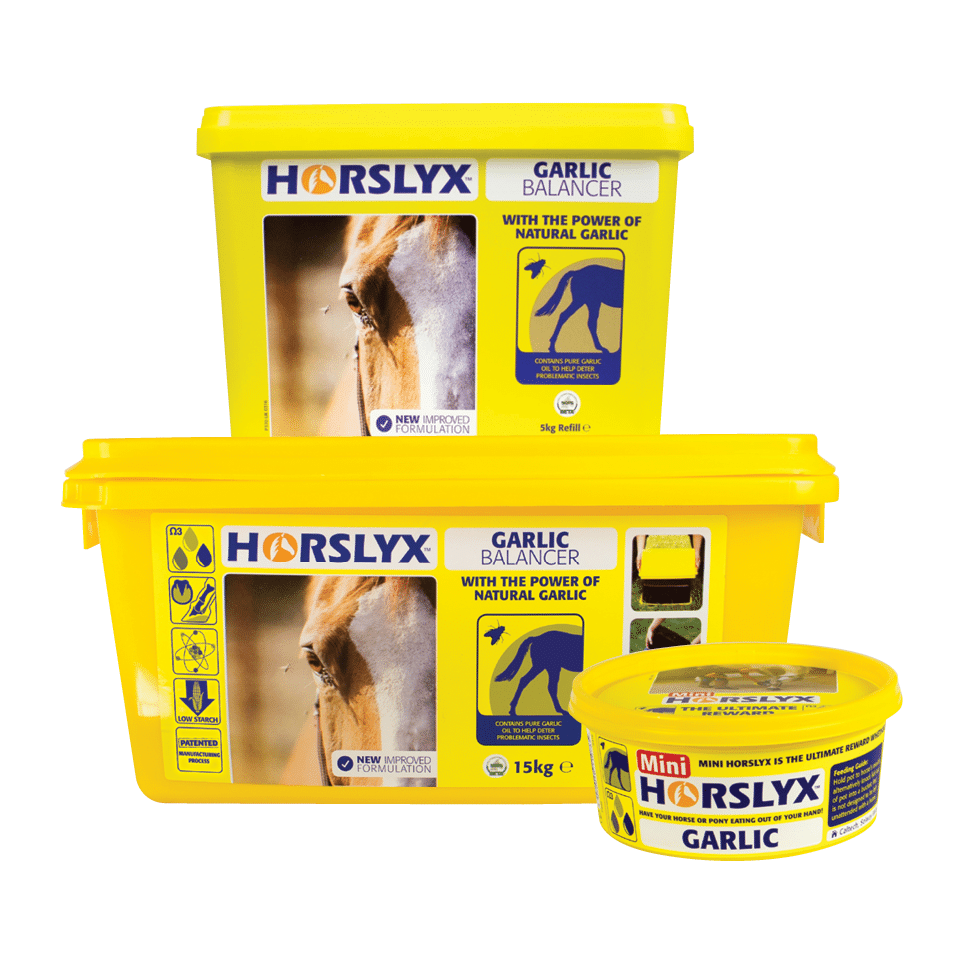 Horslyx Garlic Balancer Lick 15kg