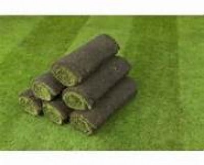 Turf Roll