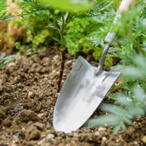 Kent & Stowe Stainless Steel Hand Trowel
