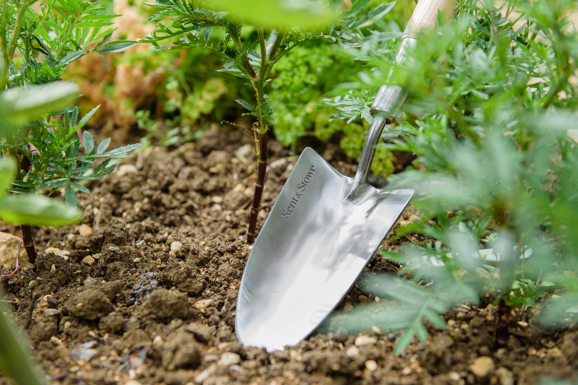 Kent & Stowe Stainless Steel Hand Trowel