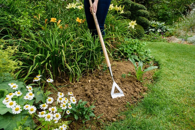 Kent & Stowe Stainless Steel Long Handled Dutch Hoe