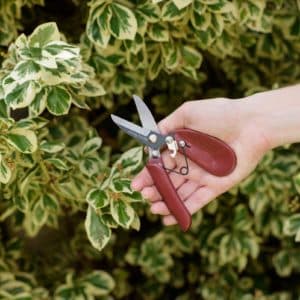Kent & Stowe Ergo Pruner
