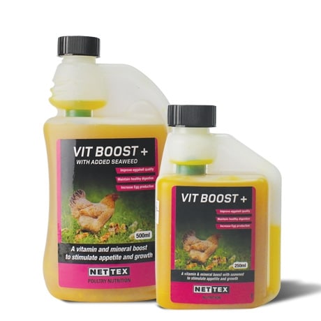 Nettex- Vitamin Boost 500ml