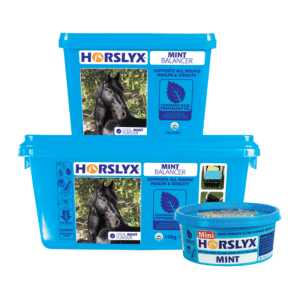 Horslyx Mint Balancer Lick Refill 5kg