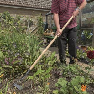 Kent & Stowe Carbon Steel Long Handled 3 Edge Hoe