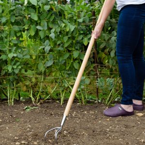 Kent & Stowe Stainless Steel Long 3 Prong Cultivator
