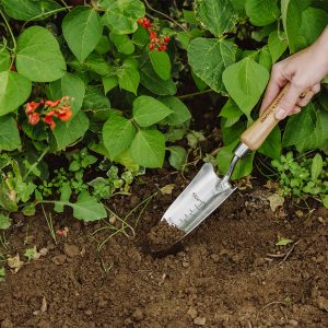 Kent & Stowe Stainless Steel Hand Transplanting Trowel