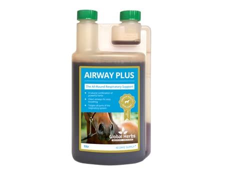 Global Herbs Airway Plus 1ltr