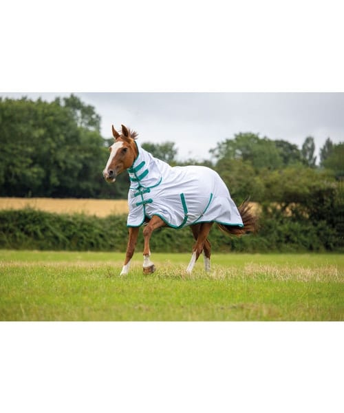 Tempest Fly Combo Rug