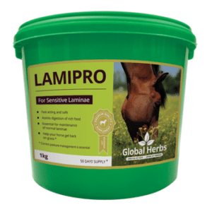 Global Herbs LamiPro Powder 1kg