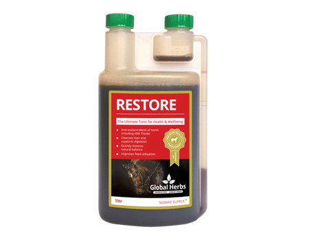 Global Herbs Restore 500ml