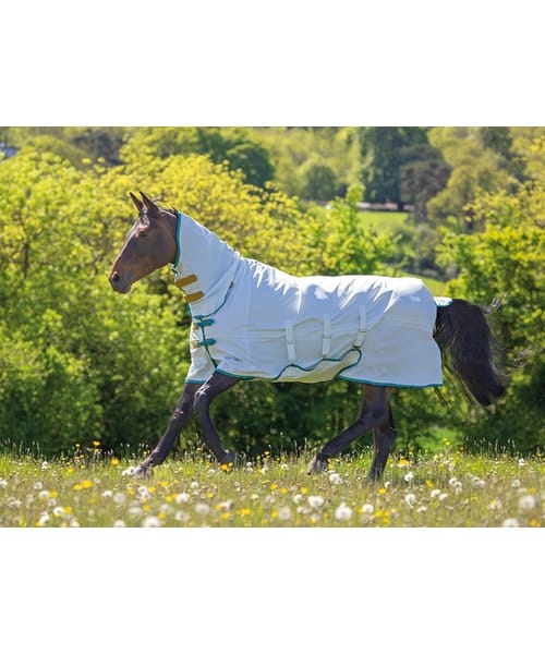 Tempest Plus Sweet-Itch Combo Rug